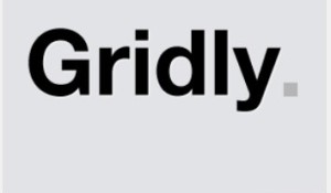 Gridly WordPress Theme