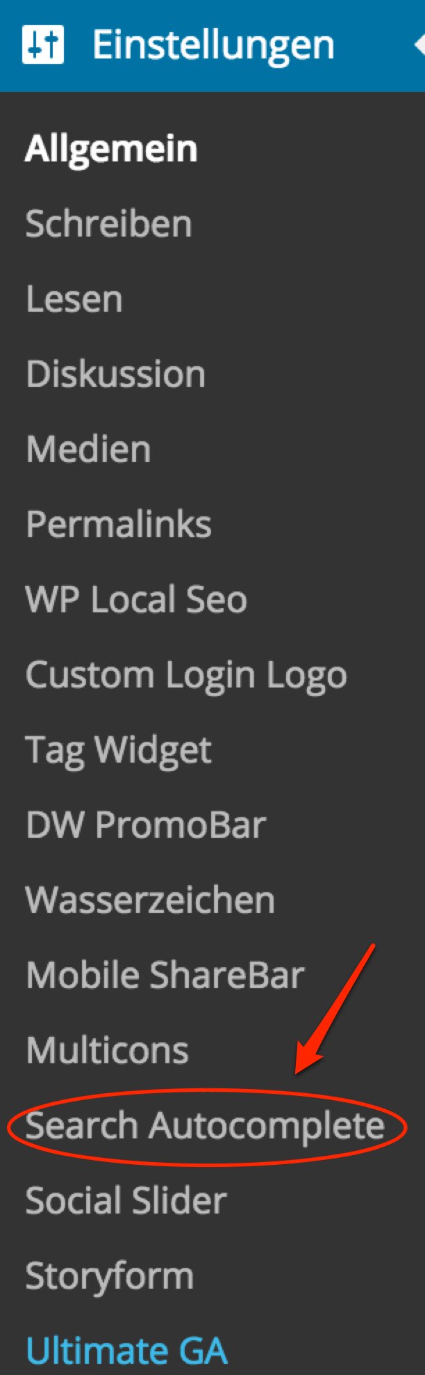 Search Autocomplete PlugIn - WordPress ToolTipp