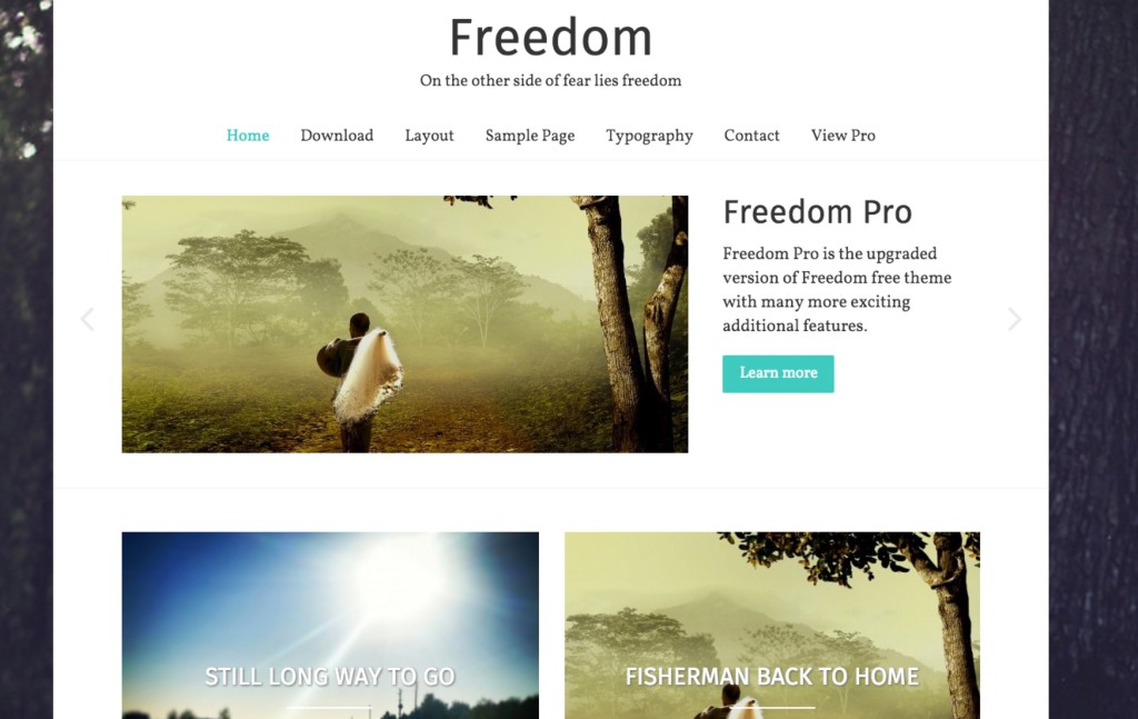 Das Freedom WordPress Theme - Ein WordPress ToolTipp
