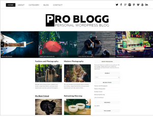Pro Blog WordPress Theme
